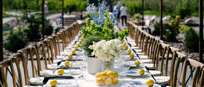 Outdoor table setting