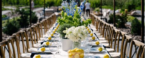 Outdoor table setting