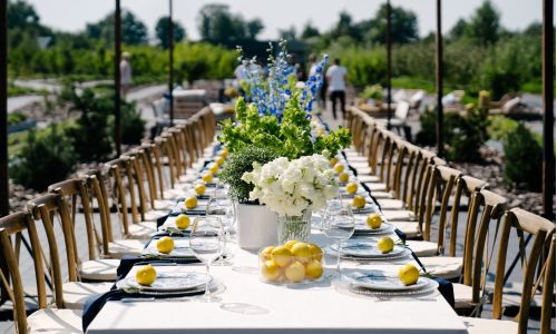 Outdoor table setting